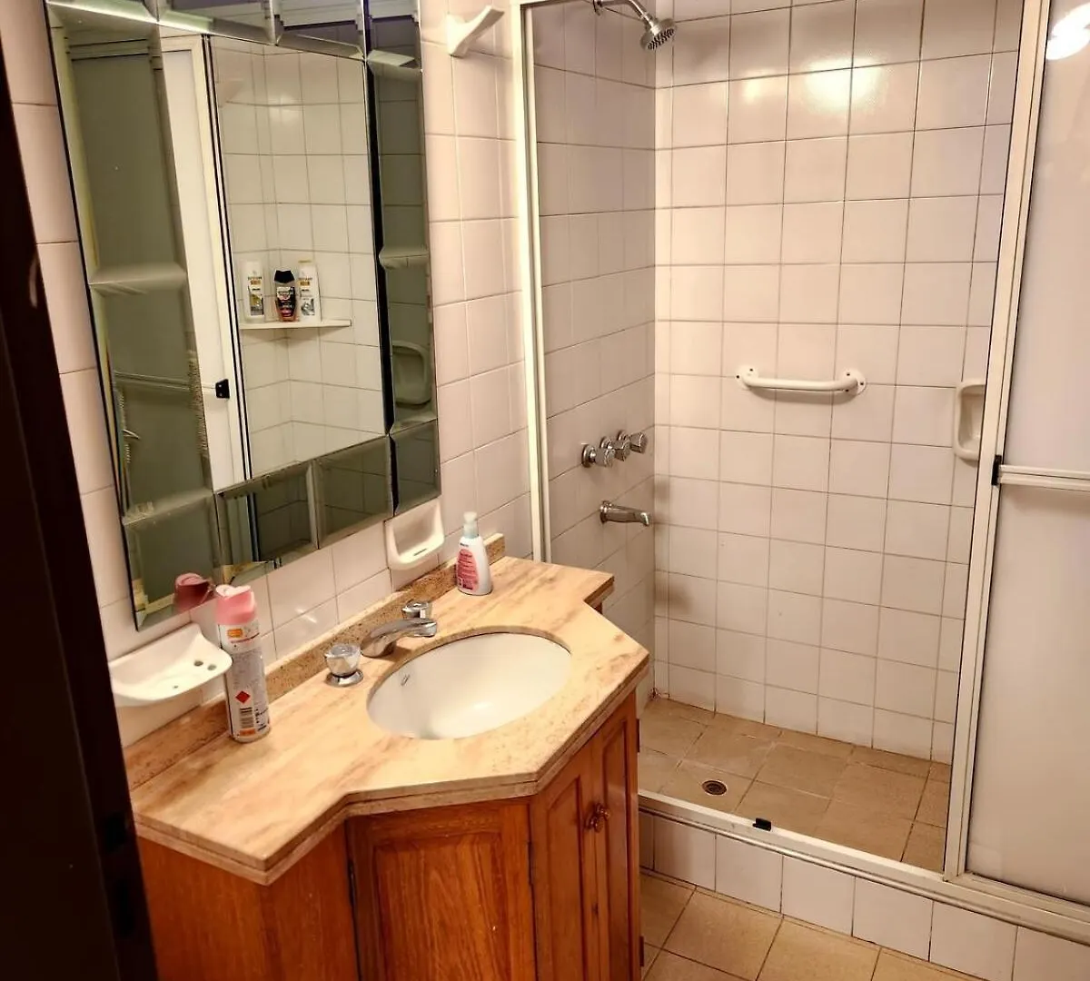 Apartman Apartamento Espacioso En El Corazon De Mendoza